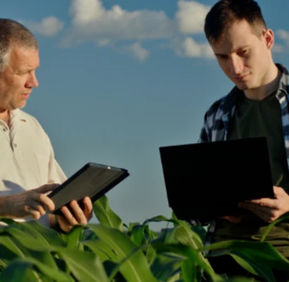 Produtividade agrícola: estratégias para melhorar seus resultados