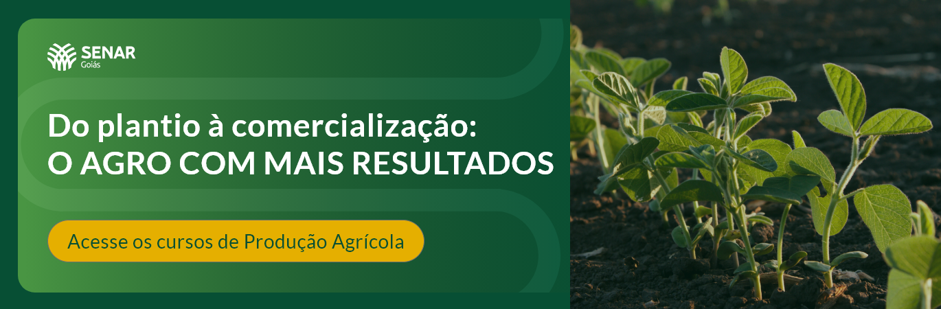 banner do programa Produção Agrícola