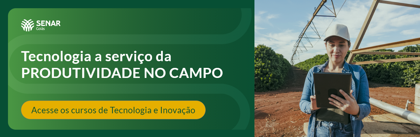 Banner do Programa Tecnologia e Inovação