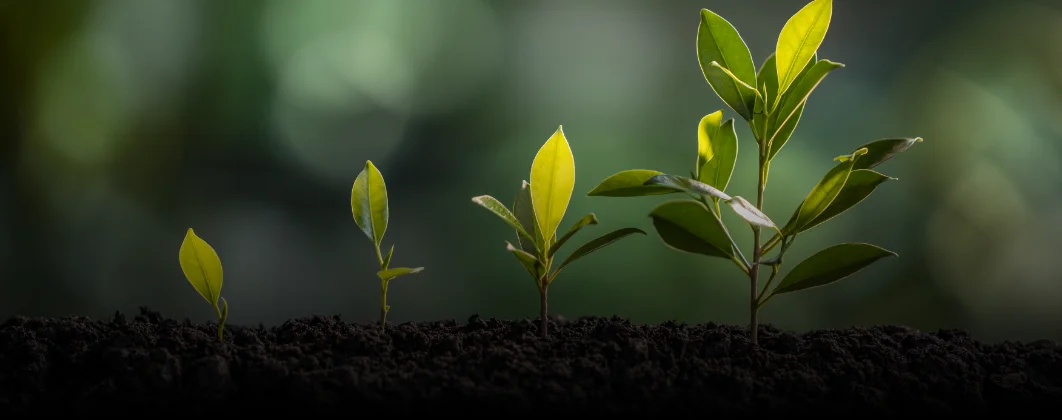 Produção Agropecuária Responsável